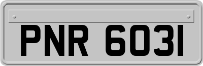 PNR6031