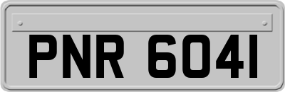PNR6041