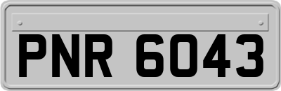 PNR6043