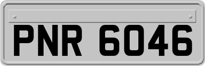 PNR6046
