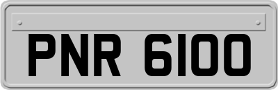 PNR6100