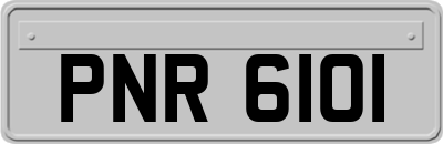 PNR6101