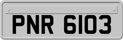 PNR6103