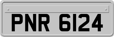 PNR6124