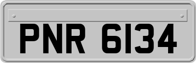 PNR6134