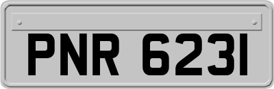 PNR6231