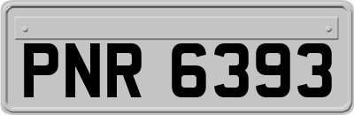 PNR6393