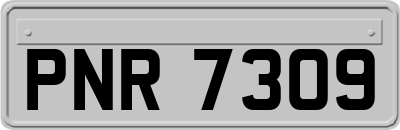 PNR7309