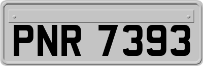 PNR7393