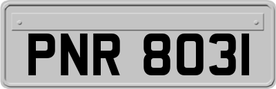 PNR8031