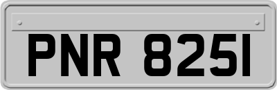 PNR8251