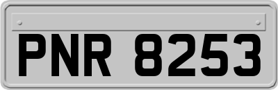 PNR8253