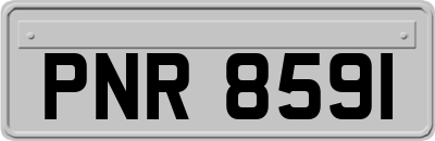 PNR8591