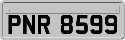 PNR8599