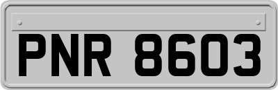 PNR8603