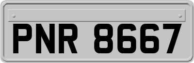 PNR8667
