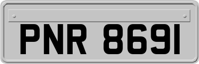 PNR8691