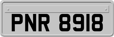 PNR8918