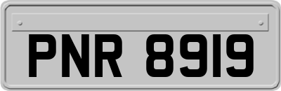PNR8919