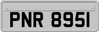 PNR8951