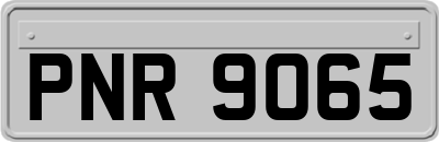 PNR9065