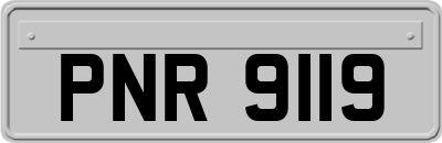 PNR9119