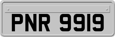 PNR9919