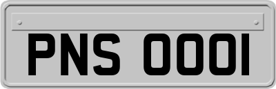 PNS0001