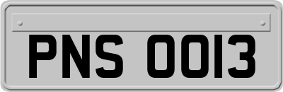 PNS0013