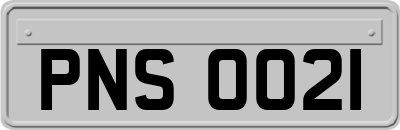 PNS0021