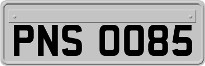 PNS0085