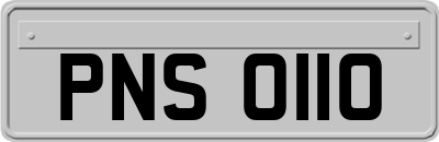 PNS0110