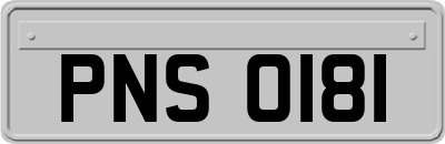 PNS0181