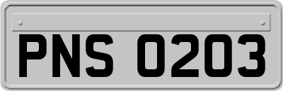 PNS0203