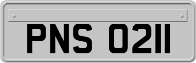 PNS0211