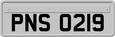 PNS0219