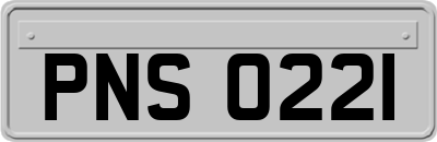 PNS0221