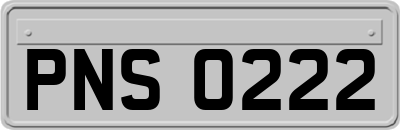 PNS0222
