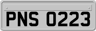 PNS0223