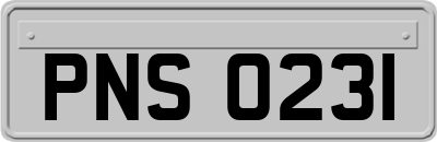PNS0231