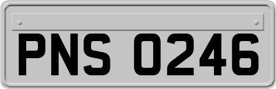 PNS0246