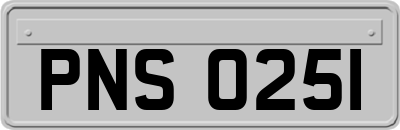 PNS0251