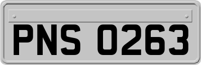 PNS0263