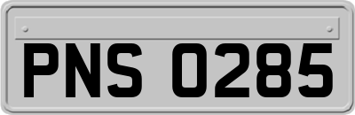 PNS0285