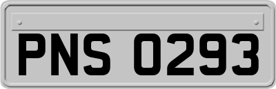 PNS0293