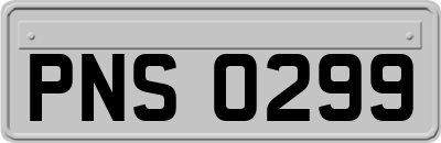 PNS0299