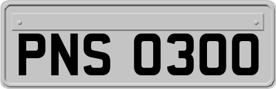 PNS0300