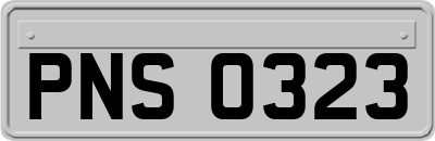 PNS0323