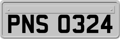 PNS0324