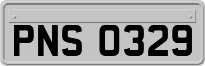 PNS0329